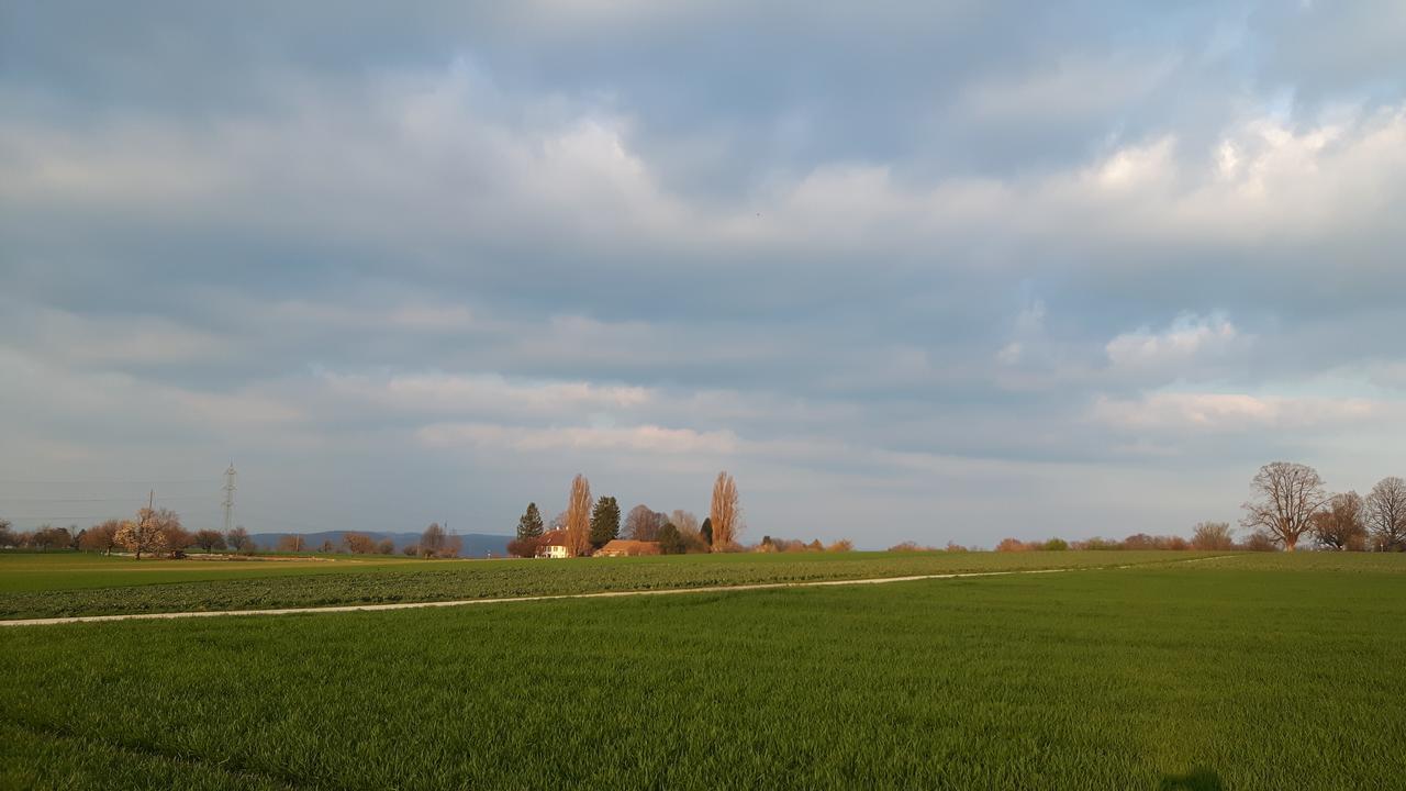 Mybednbreakfast In Bottmingen Bed & Breakfast Exterior photo