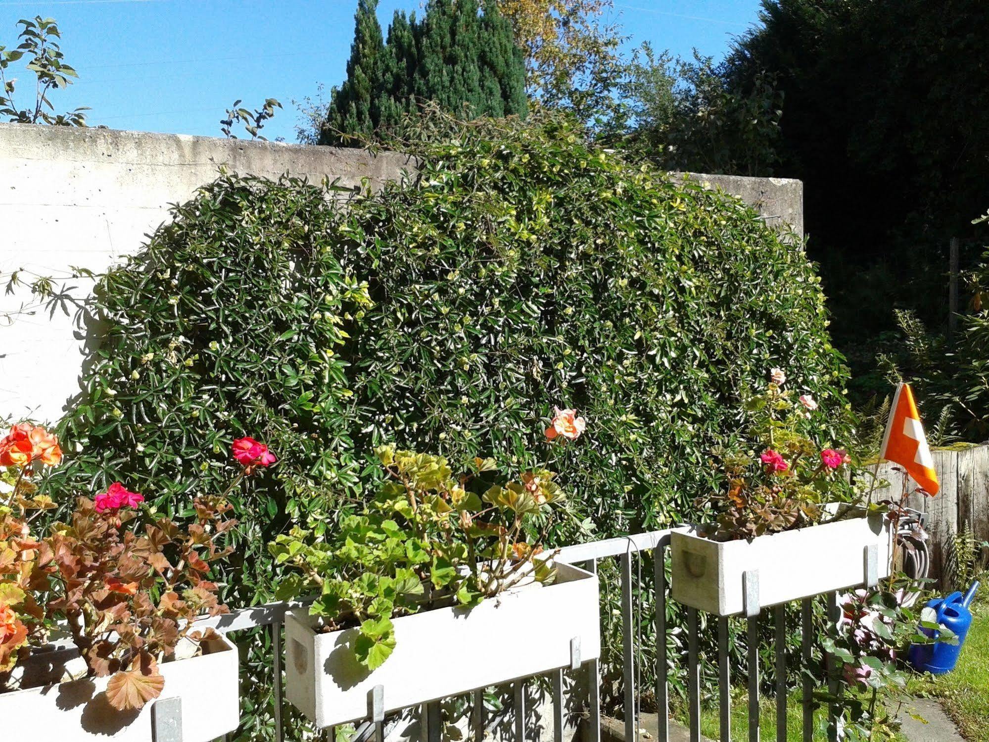 Mybednbreakfast In Bottmingen Bed & Breakfast Exterior photo